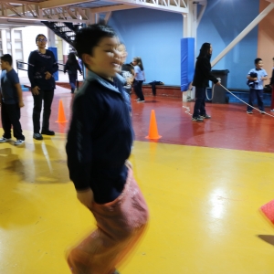 Día de la Actividad Física